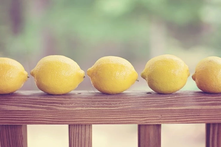 lemons, yellow, row