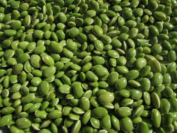 pois, haricot, légume