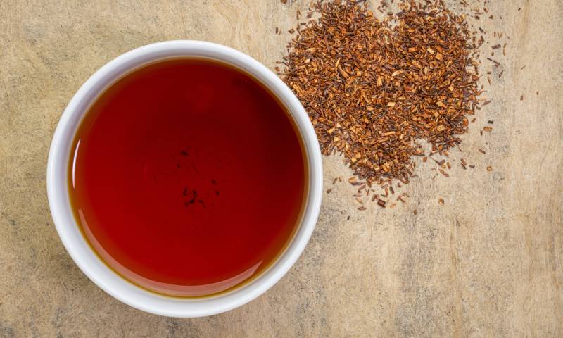 Thé rouge, rooibos pour remplacer le café d'orge