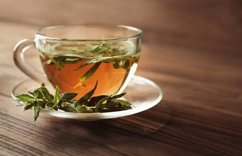 La tisane de sauge remède efficace contre les règles douloureuses