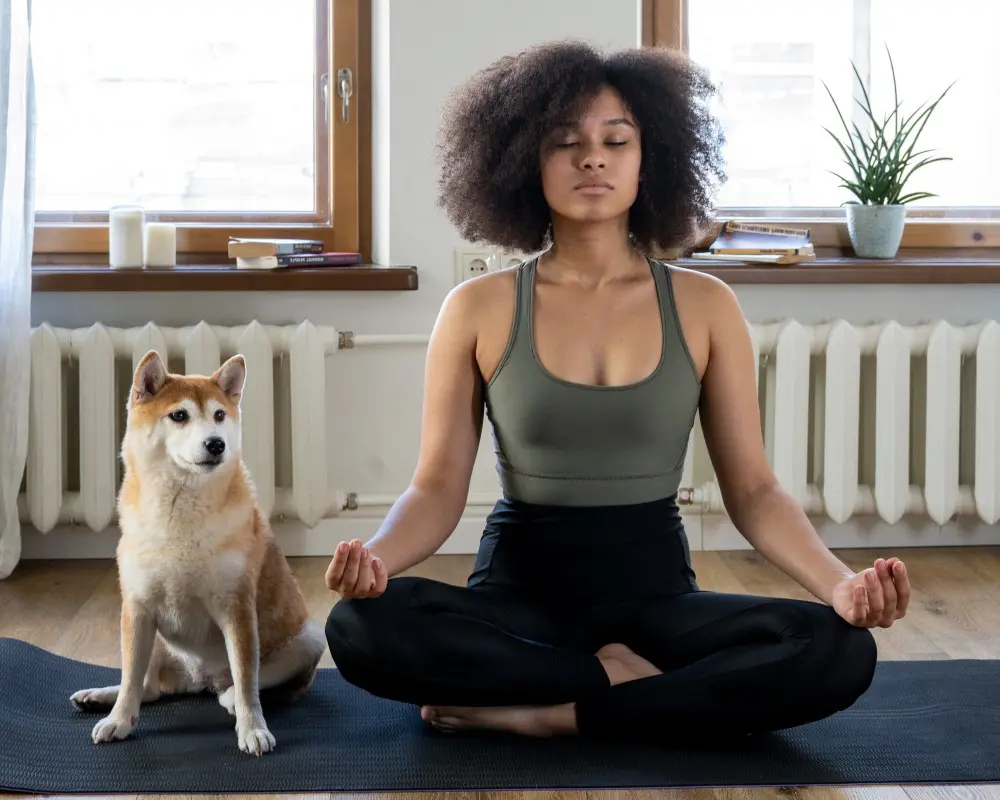 Femme pratiquant une séance de méditation du matin 

Photo de cottonbro provenant de Pexels