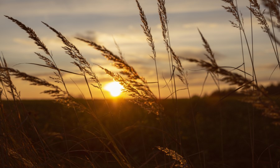 Admirer le coucher du soleil