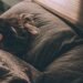 6 méthodes pour améliorer votre sommeil
