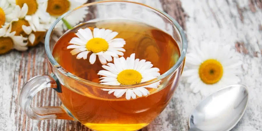 La tisane de camomille parmi les meilleures infusions naturelles