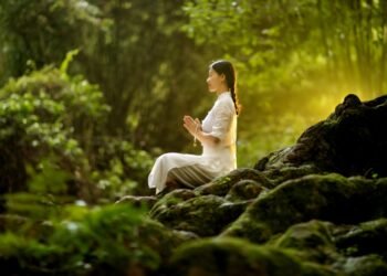 Se mettre à la pratique du Shinrin-Yoku pour se sentir bien