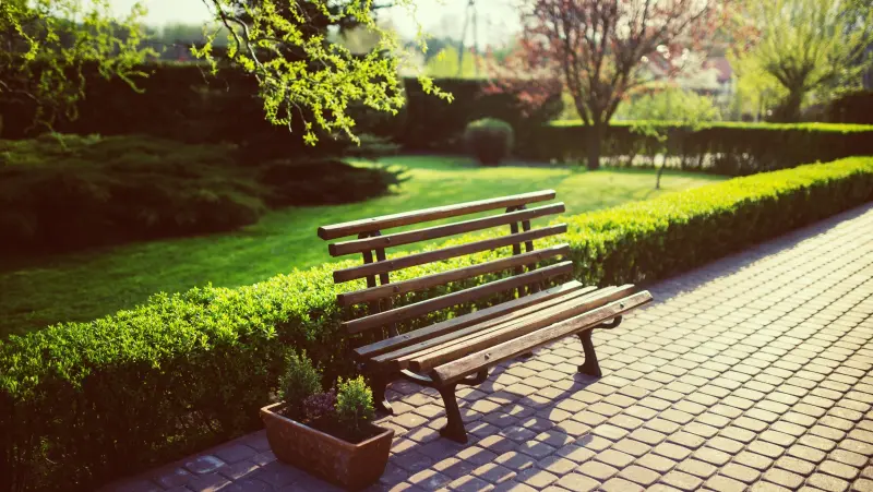 Des espaces verts pour restaurer la nature en ville