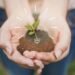 Réduire son empreinte écologique : 6 actions simples à adopter d’urgence 10 Actions pour réduire son empreinte écologique