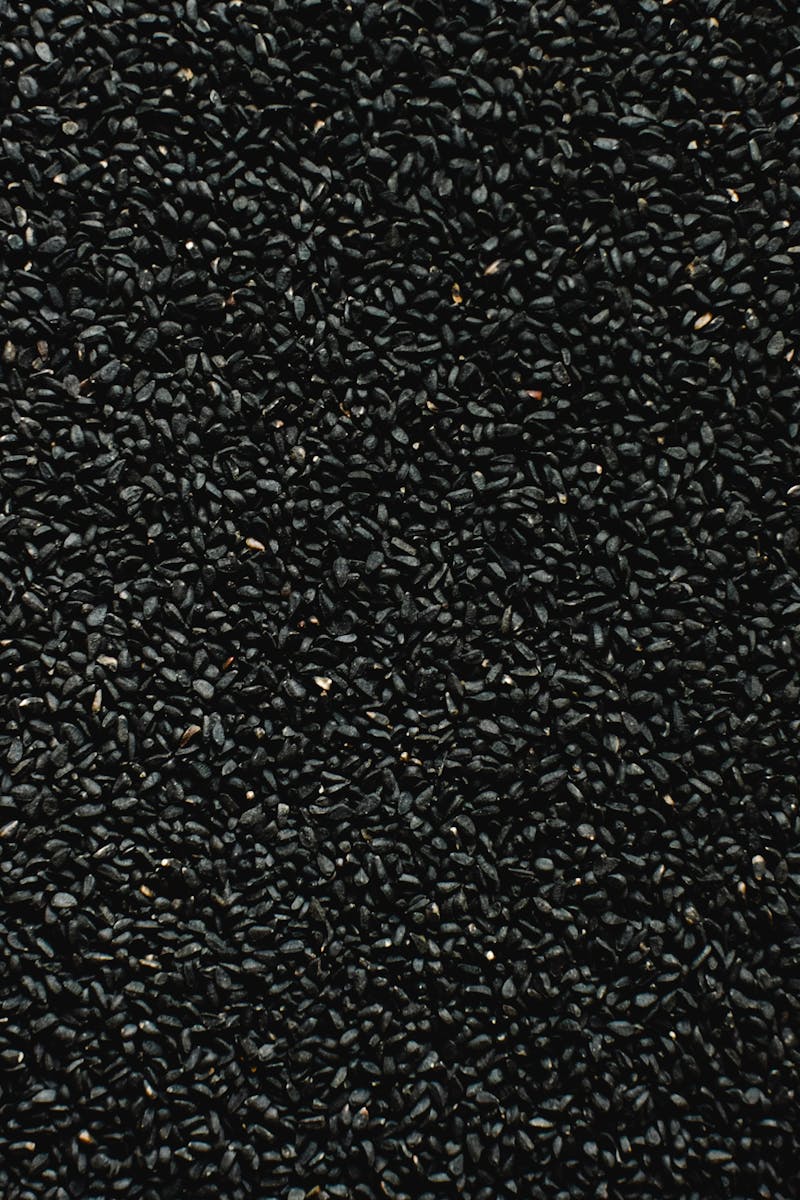 Black Seeds in Close Up Photography