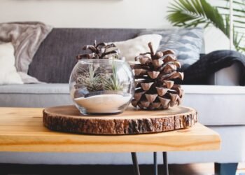 clear fishbowl beside pine cones on brown wooden table