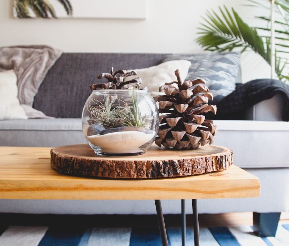 clear fishbowl beside pine cones on brown wooden table