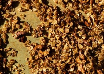 brown leaves on gray soil