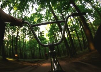 Riding a bmx bike through a sunlit forest.