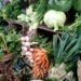 variety of vegetables