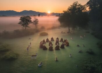 Spiritualité et pratiques