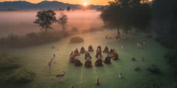La spiritualité est la seule voie possible 8 Spiritualité et pratiques
