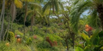 jardin botanique et bienfaits santé