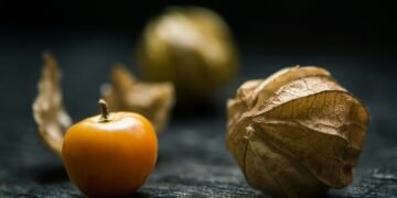 Superaliments d'hiver : Booster naturellement son énergie au quotidien 6 shallow focus photography of yellow fruit