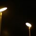 Comment capturer la bioluminescence humaine 10 white light bulb turned on during nighttime