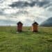 small buildings in a field
