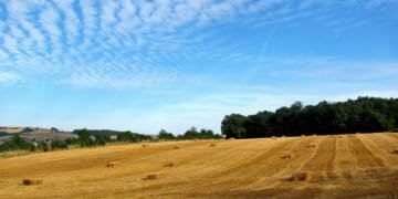 green grass field under blue sky and white clouds during daytime