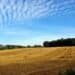 Chaux, Terre, Paille : Guide Débutant Essentiel 10 green grass field under blue sky and white clouds during daytime