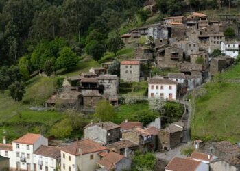 white and brown concrete houses near green trees during daytime