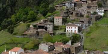 white and brown concrete houses near green trees during daytime