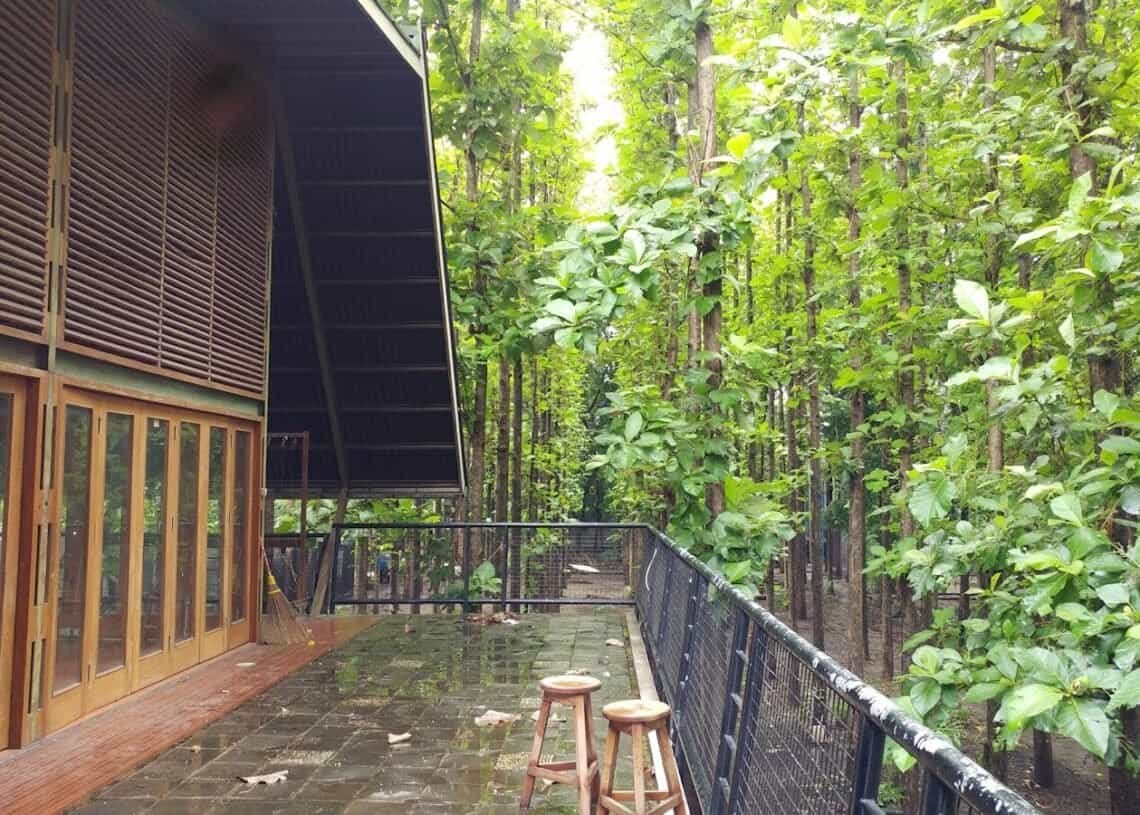 a wooden building surrounded by lush green trees
