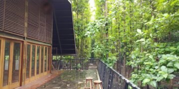 a wooden building surrounded by lush green trees