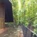 a wooden building surrounded by lush green trees