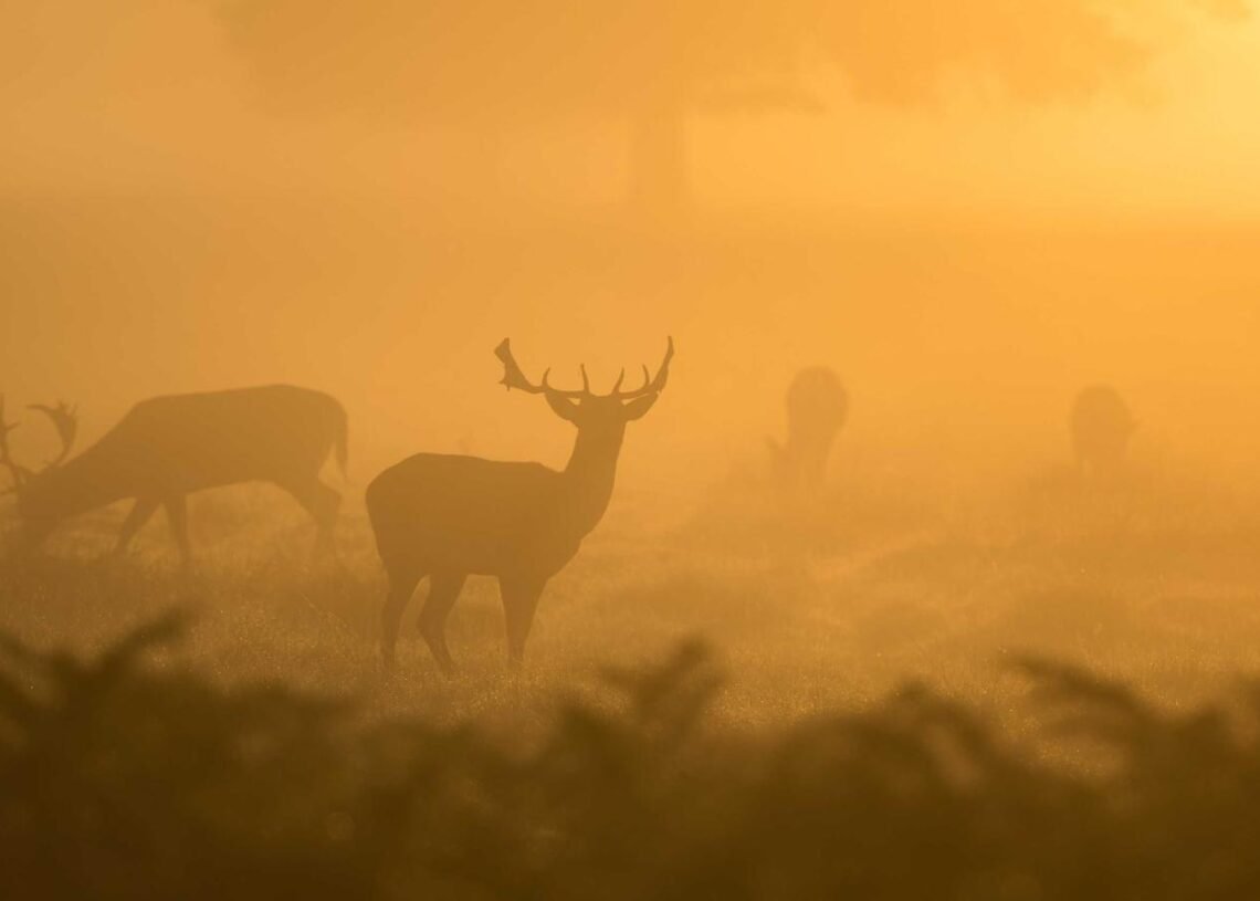Personne se reposant paisiblement pendant une pause, illustrant les bienfaits de la sieste