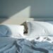 Paralysie du sommeil : le corps reste endormi 7 Lit défait éclairé par la lumière froide du petit matin dans une chambre immobile, paralysie du sommeil